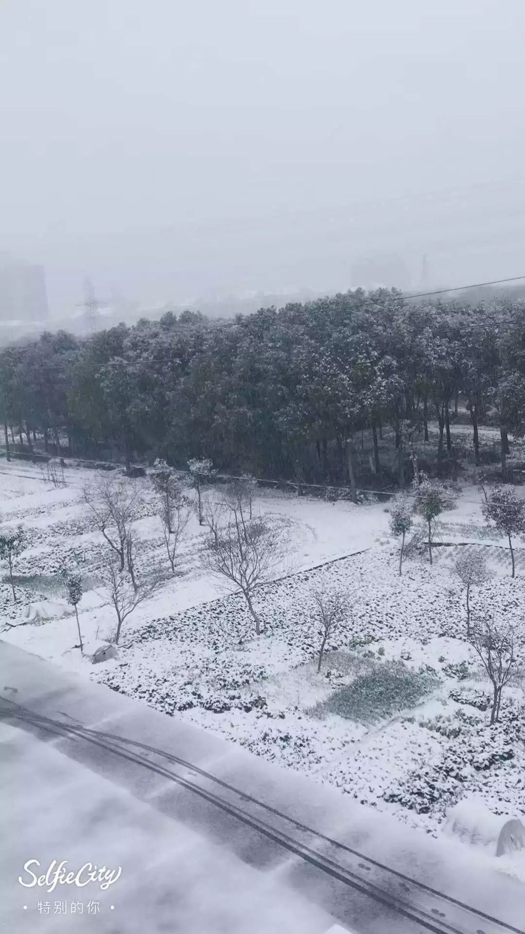 最新雪落，纯净无暇的自然奇观