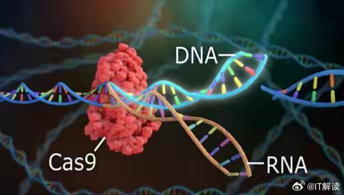 基因编辑技术的新突破，引领生命科学新篇章