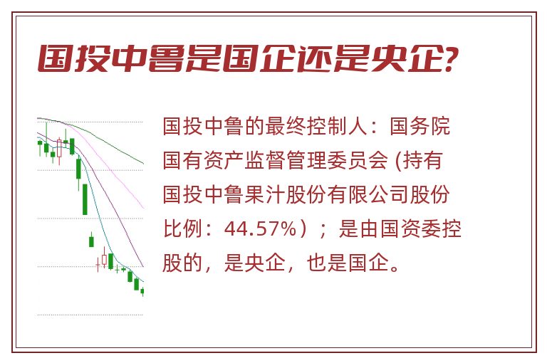 国投中鲁最新消息综合报告