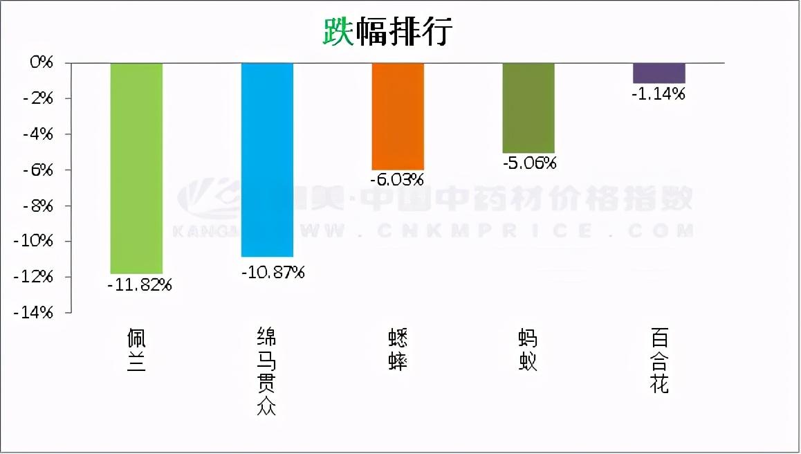 玉林白蔻最新价格动态与市场深度解析