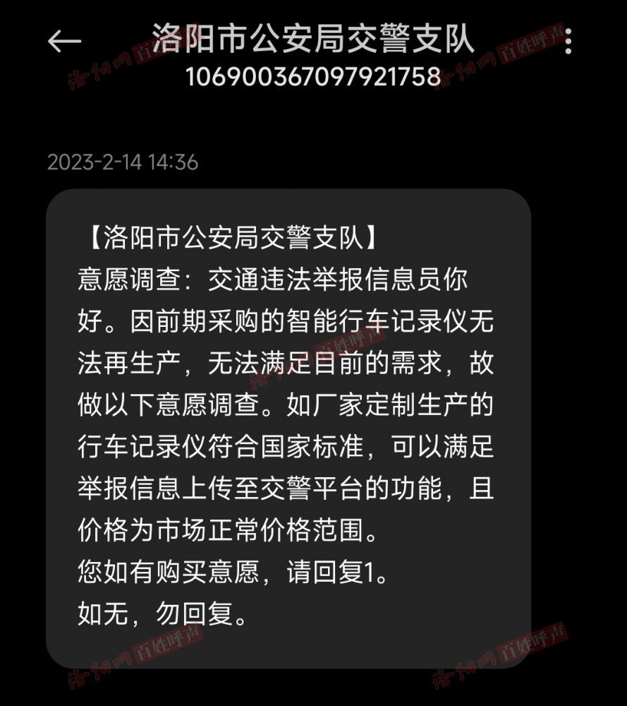 洛阳百姓呼声，城市发展的脉搏与民心所向最新动态