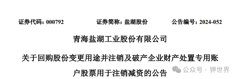 盐湖股份镁研究的最新进展及其应用前景展望