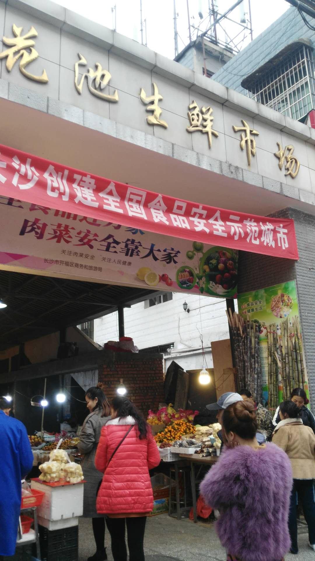 新开肉菜市场招商启动，共创行业新篇章，打造全新购物体验