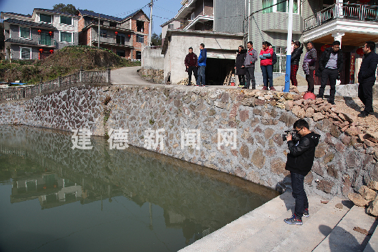 水堤村乡村振兴与社区发展新篇章，最新新闻报道