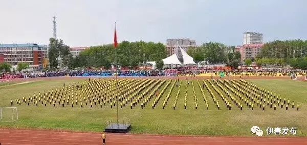 铁力农场领导团队引领发展新篇章