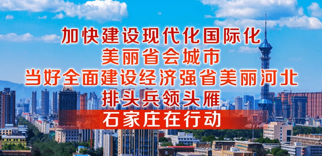 桑树洼村委会最新招聘信息汇总