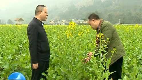 泔溪镇未来繁荣蓝图，最新发展规划揭秘