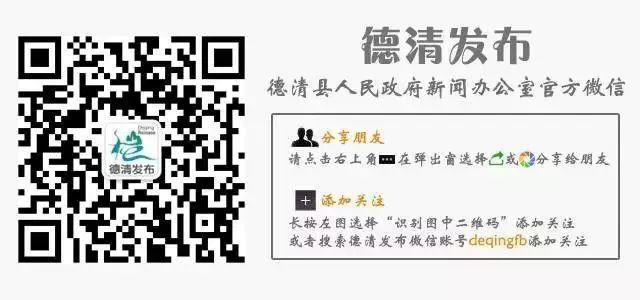 德清县数据和政务服务局最新招聘信息详解