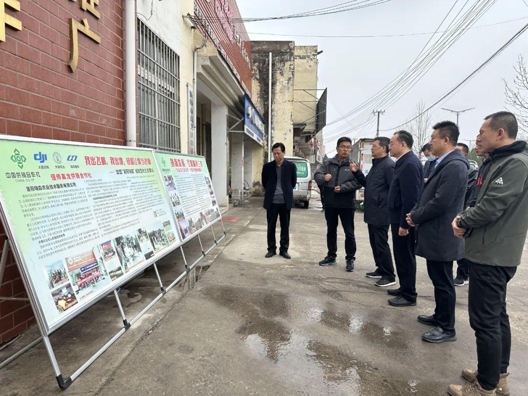 偃师市市场监督管理局最新发展规划概览