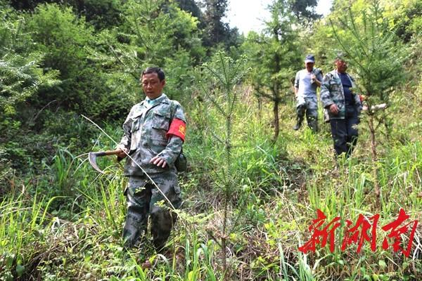 连山壮族瑶族自治县住房和城乡建设局最新招聘信息概况