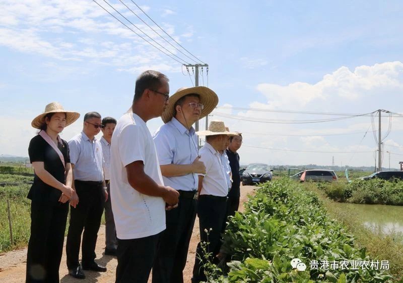 钦北区农业农村局最新领导团队，引领农业新发展，助力乡村振兴