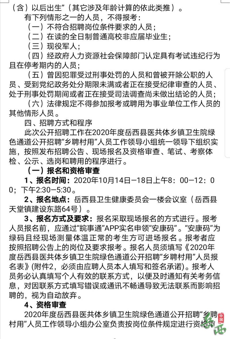 镇安县卫生健康局招聘启事，最新职位及详情解析