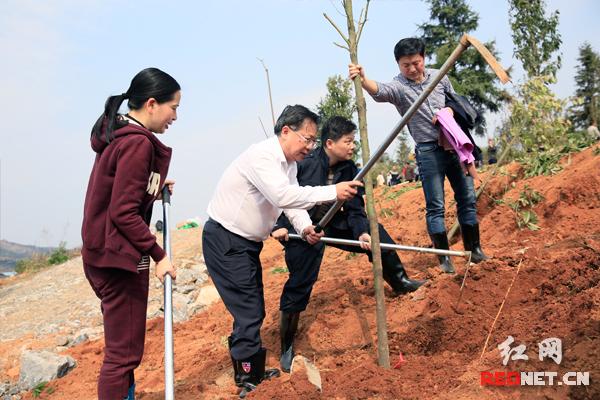 郴州市林业局最新动态报道