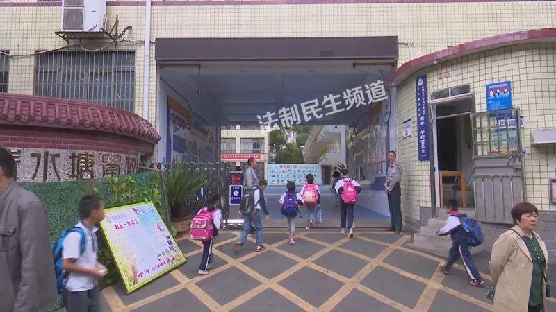 石峰区小学未来发展规划蓝图，迈向新纪元的教育之旅