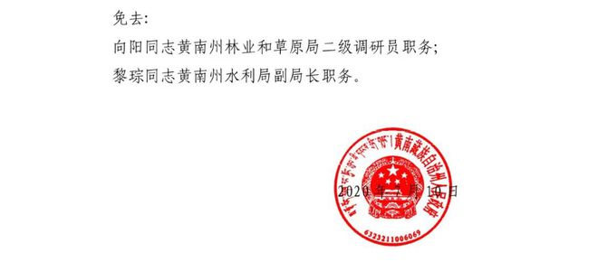 中庆村委会人事任命重塑未来，激发新活力