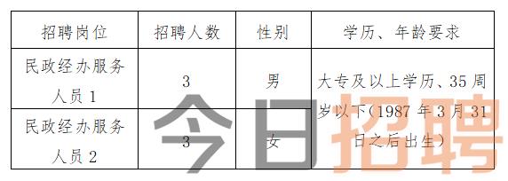 贵南县民政局最新招聘信息全面解析