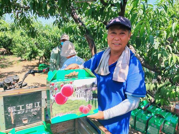 湛河区文化广电体育和旅游局领导团队简介