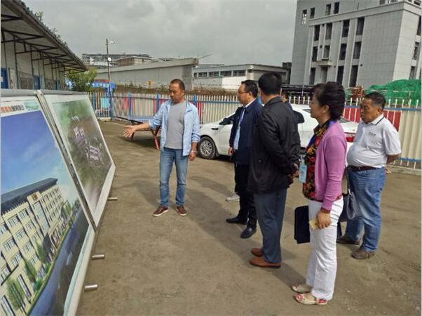 2024年12月17日 第28页