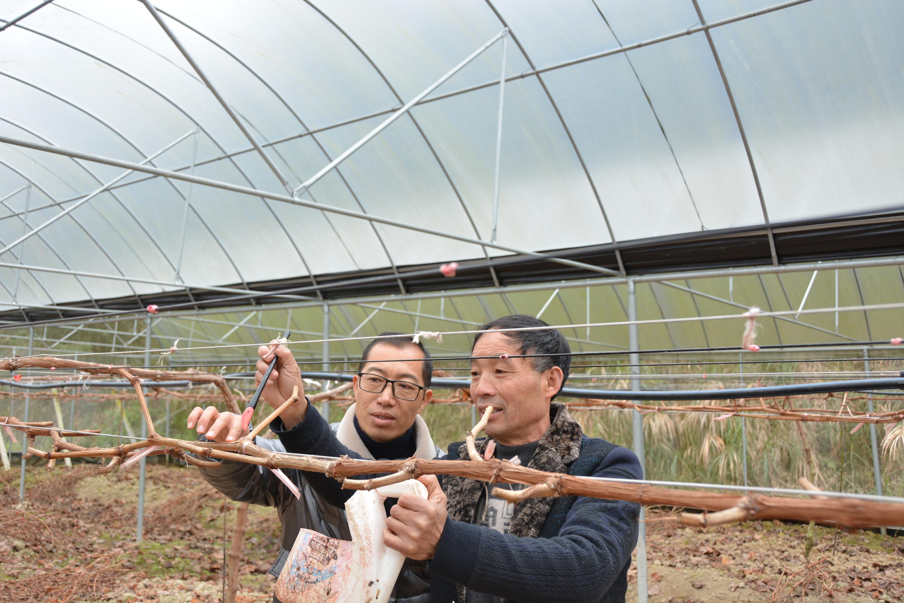 建阳市科技局领导团队前瞻领导新篇章