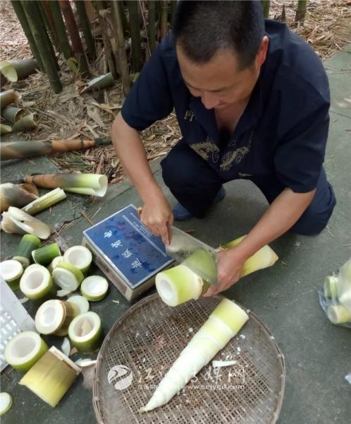 江油市自然资源和规划局最新招聘信息详解