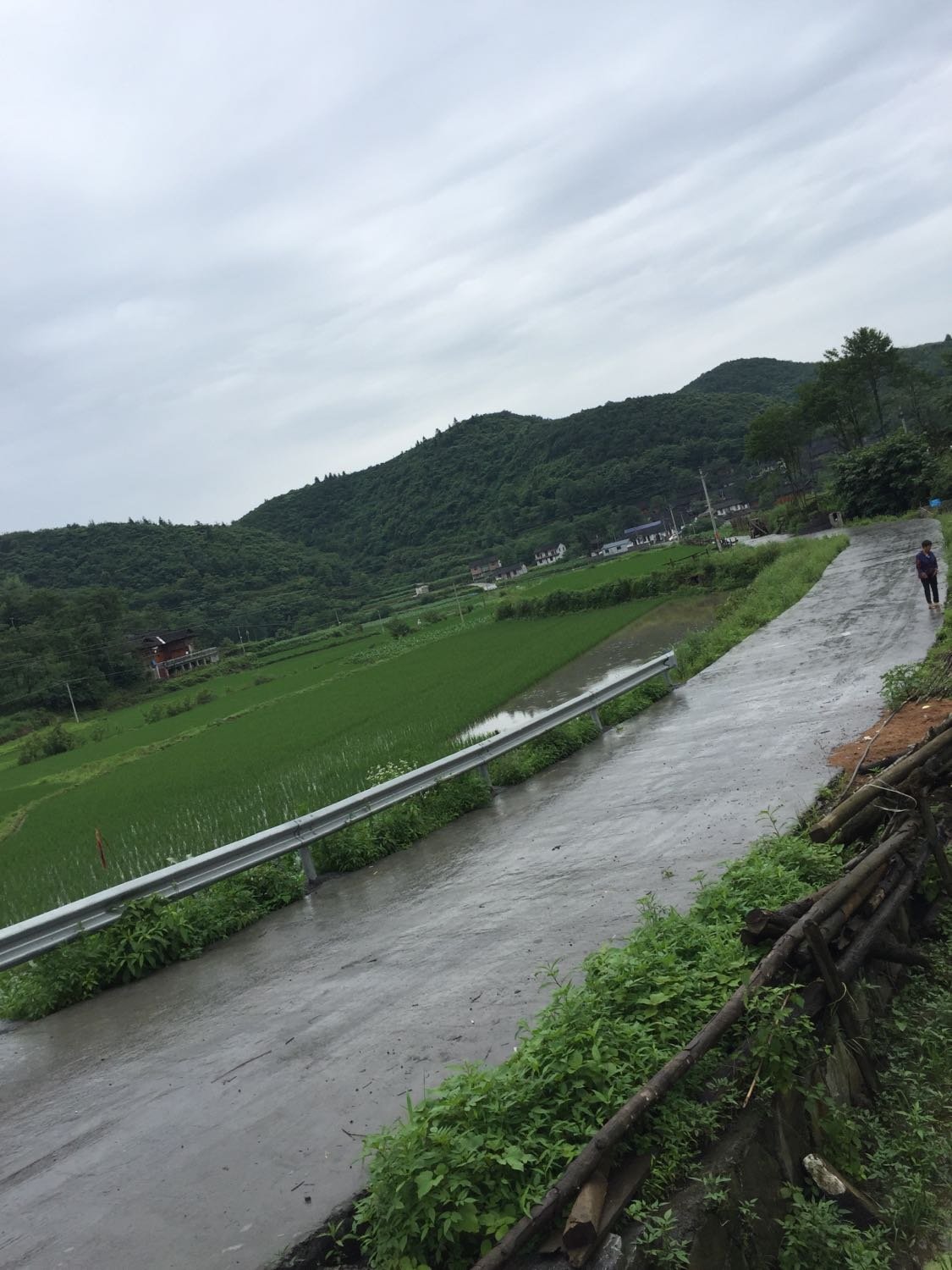 集龙乡天气预报更新通知