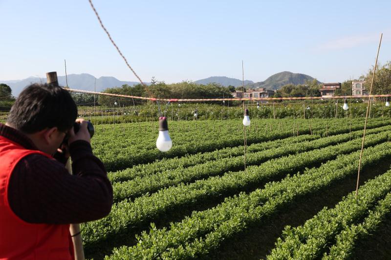 菊花村委会最新项目启动，乡村振兴新篇章开启