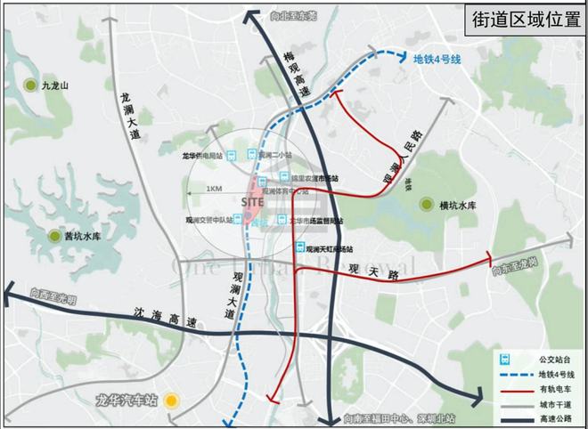 2024年12月24日 第13页